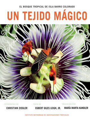 cover image of Un Tejido Magico